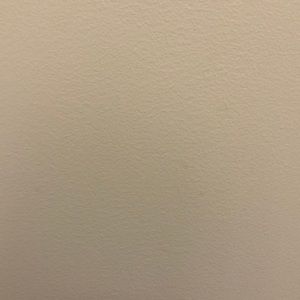 Meet your Posher, Ming